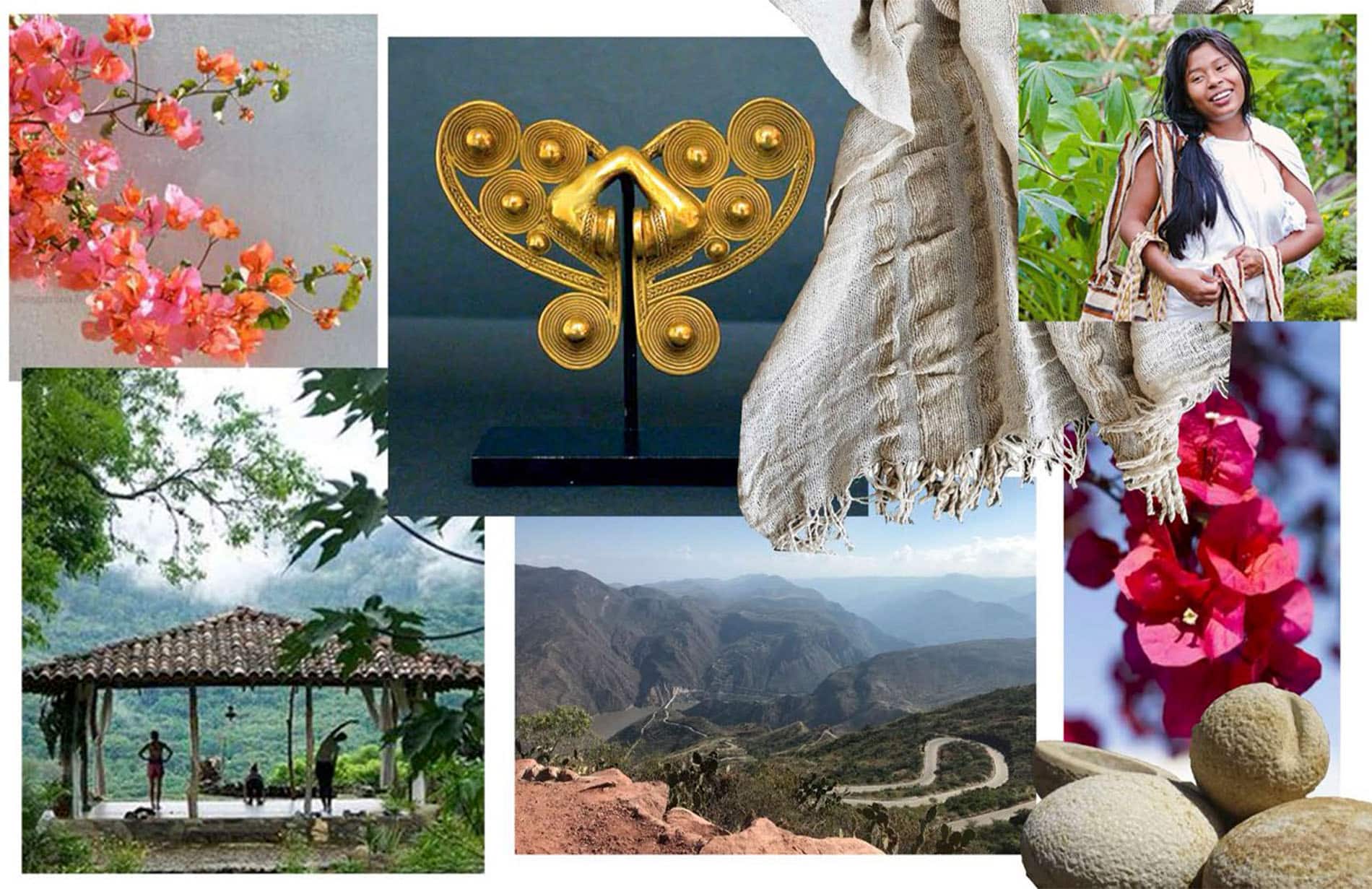 1_0016_bougainvillier inspiration Eco-Retreat Colombia - view of the mountains